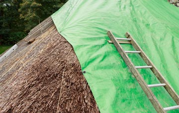 maintaining Pendomer thatch